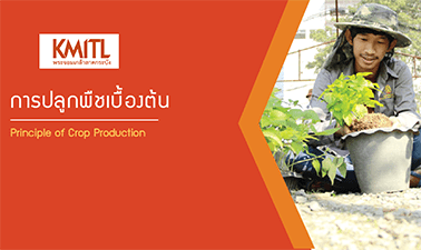 asset-v1-KMITL+00254+0+type@asset+block@editkmitl006_แบนเนอร_ asset-v1-KMITL+00254+0+type@asset+block@editkmitl006_แบนเนอร_