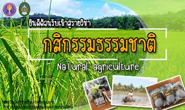 asset-v1_NSTRU+00398+0+type@asset+block@Banner-Natural_agriculture