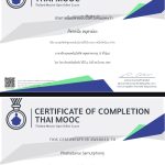 1000000219-2.jpg
