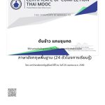 IMG_1964-2.jpeg