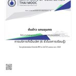 IMG_1965-3.jpeg