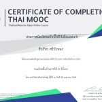 S__84213772-5.jpg