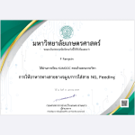 IMG_1264-1.png