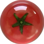 SUTTIRAT CHAROENPHOL